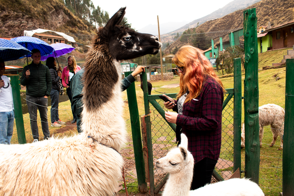 volunteering in cusco cochahuasi